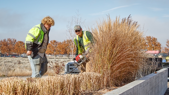 Achieving Visual Brilliance: Unleashing the Power of Commercial Landscape Maintenance