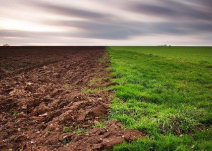 Digging Deep: The Secrets of Thriving Organic Soils