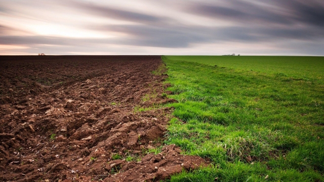 Digging Deep: The Secrets of Thriving Organic Soils