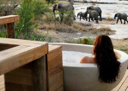 Exquisite Oasis: Unveiling the Epitome of Luxury Safari Accommodation