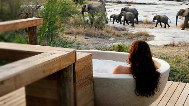 Exquisite Oasis: Unveiling the Epitome of Luxury Safari Accommodation