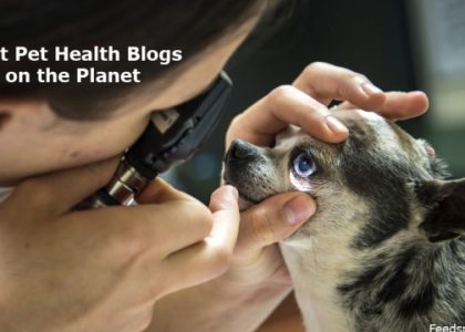 Purrfectly Healthy: Unleashing the Secrets to Pet Wellness