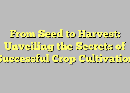 From Seed to Harvest: Unveiling the Secrets of Successful Crop Cultivation