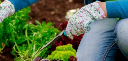 Harvesting the Benefits: Unveiling the Secrets of Organic Gardening