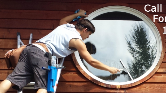 Shining Through: Mastering the Art of Window Cleaning