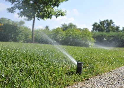 Sprinkle Your Garden with Maintenance Tips: Keeping Your Sprinklers in Top Shape