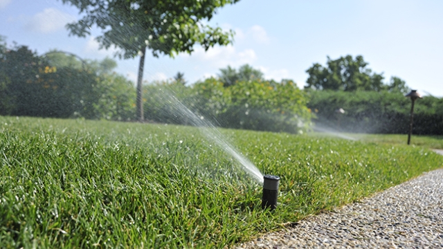 Sprinkle Your Garden with Maintenance Tips: Keeping Your Sprinklers in Top Shape