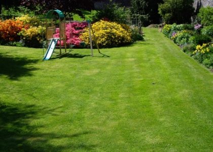 The Perfect Green Canvas: Mastering the Art of Lawn Care