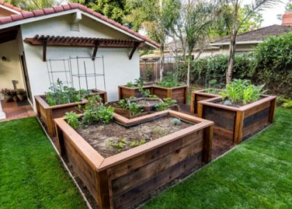 Blooming Beauty: Unleashing the Magic of Garden Beds