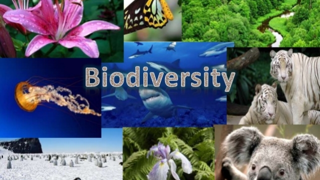 Harmony in Diversity: Exploring the Vital Link Between Ecology and Biodiversity