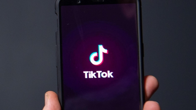 Diving Into the TikTok Trend: The Ultimate Guide for Beginners