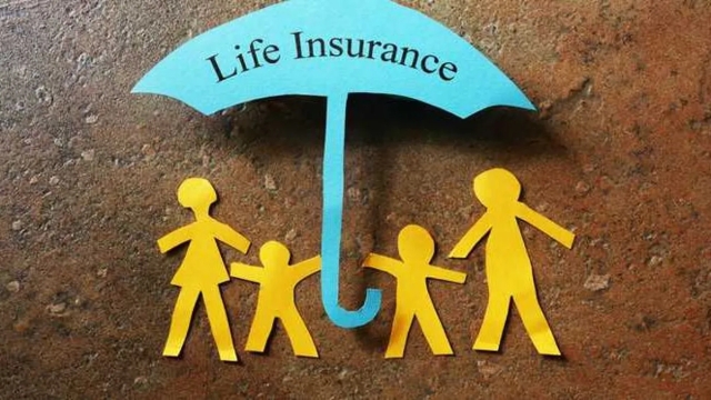 Insuring Your Peace of Mind: The Ultimate Guide to Choosing an Insurance Agency