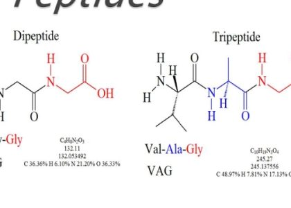 Unlocking the Power of Peptides: Your Ultimate Guide