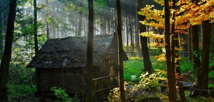 Embracing Nature: The Timeless Charm of Log Cabins and Log Homes