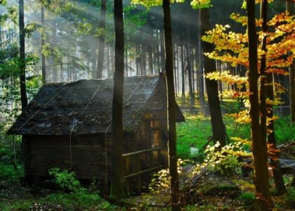 Embracing Nature: The Timeless Charm of Log Cabins and Log Homes