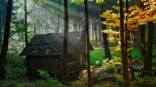 Embracing Nature: The Timeless Charm of Log Cabins and Log Homes