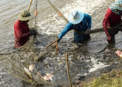 Revolutionizing Our Waters: The Future of Aquaculture Technology