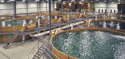 Revolutionizing the Waves: The Future of Aquaculture Technology