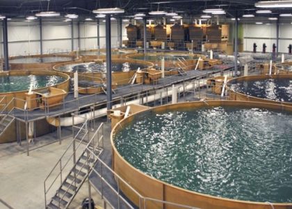 Revolutionizing the Waves: The Future of Aquaculture Technology