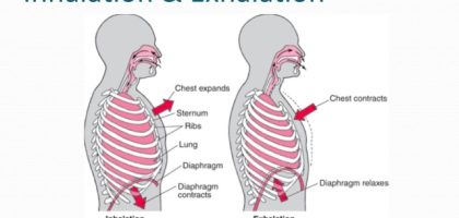 Cloud Journeys: Exploring the World of Inhalation Devices