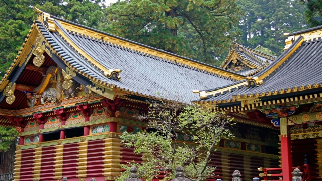 Whispers of the Ancients: Exploring the Spiritual Beauty of Shinto Shrines