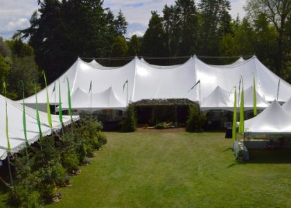 Unveiling Versatility: The Battle of Printed Canopy Tents vs. Inflatable Dome Tents